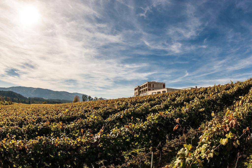 Trippelgut - Schlafgut Hotel Feldkirchen In Kaernten Phòng bức ảnh